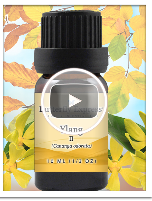 Ylang II Essential Oil Single