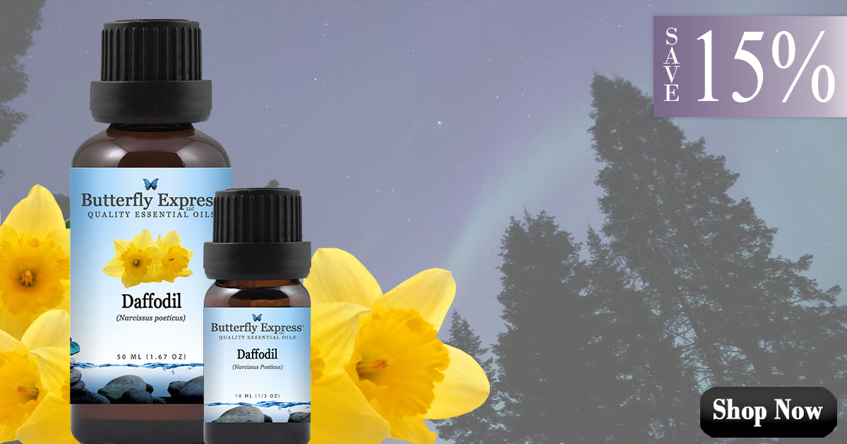 Daffodil Essential Oil Single