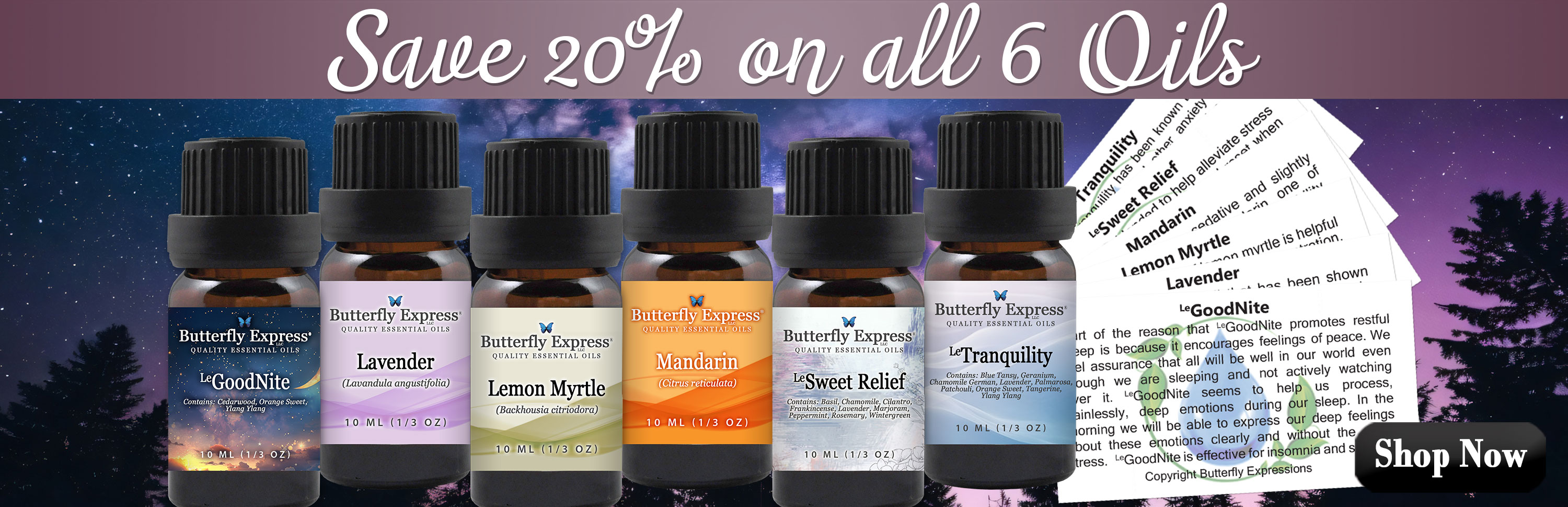 6 Oil Monthly Special