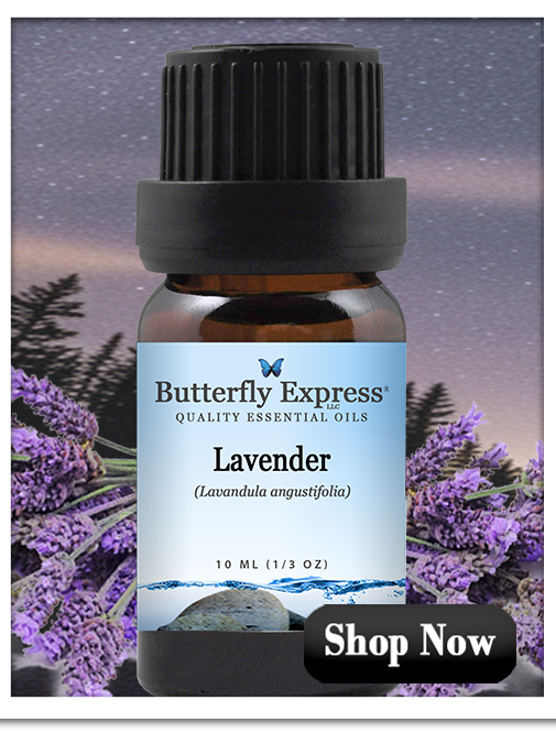 Lavender Angustifolia Essential Oil Single