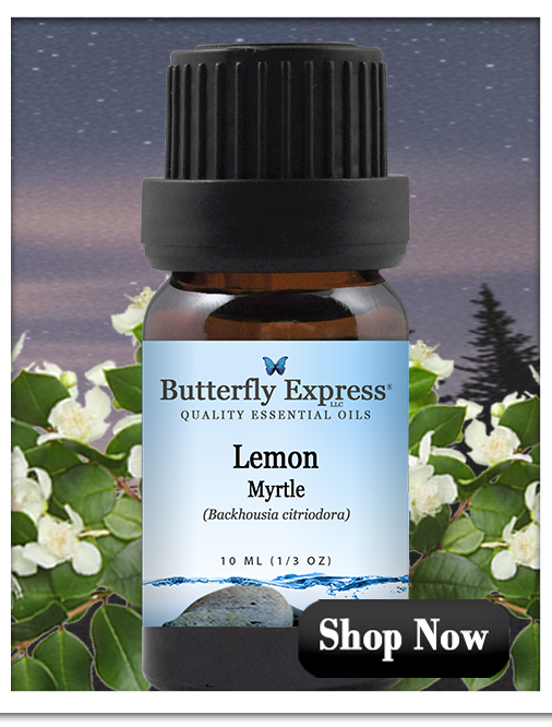 Lemon Myrtle Essential Oil Single