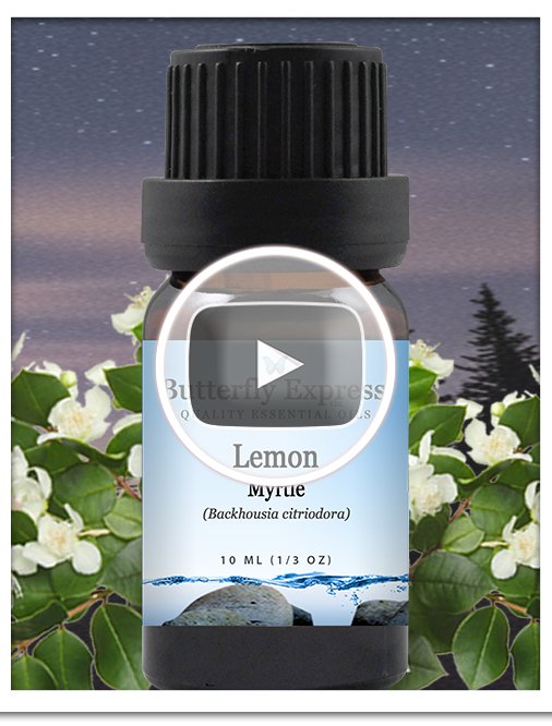 Lemon Myrtle Essential Oil Single