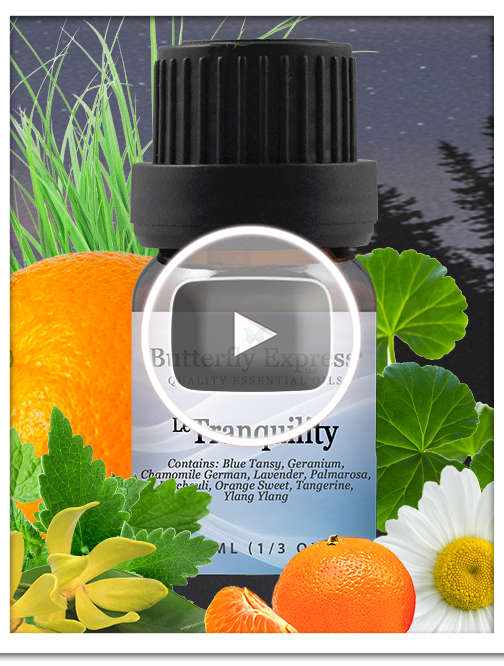Tranquility Essential Oil Single