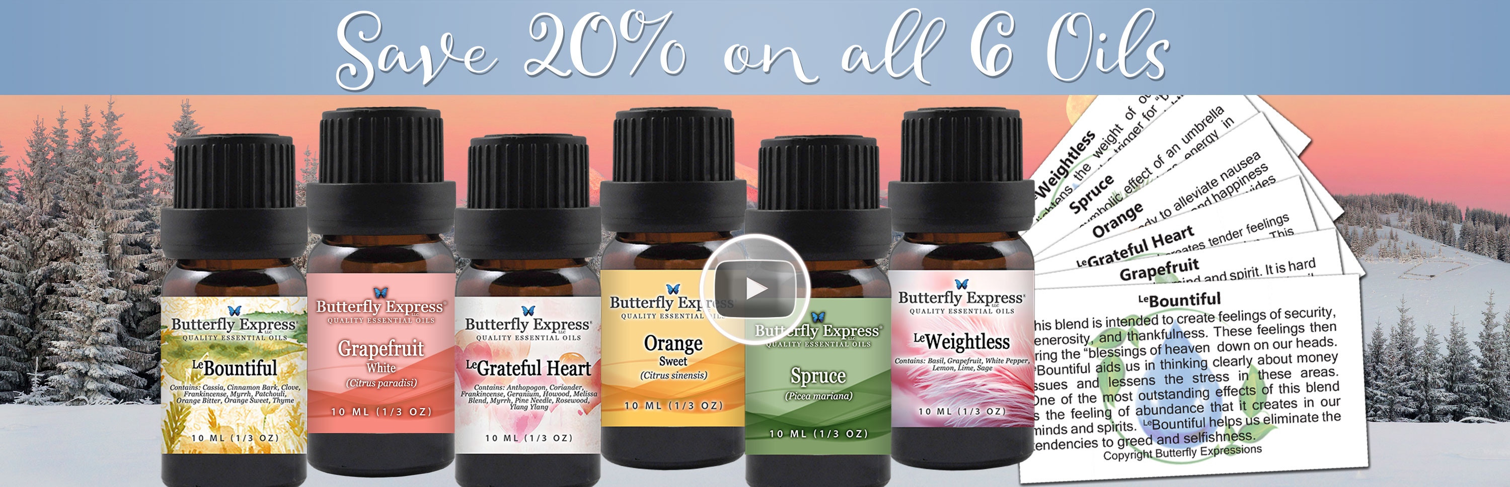 6 Oil Monthly Special