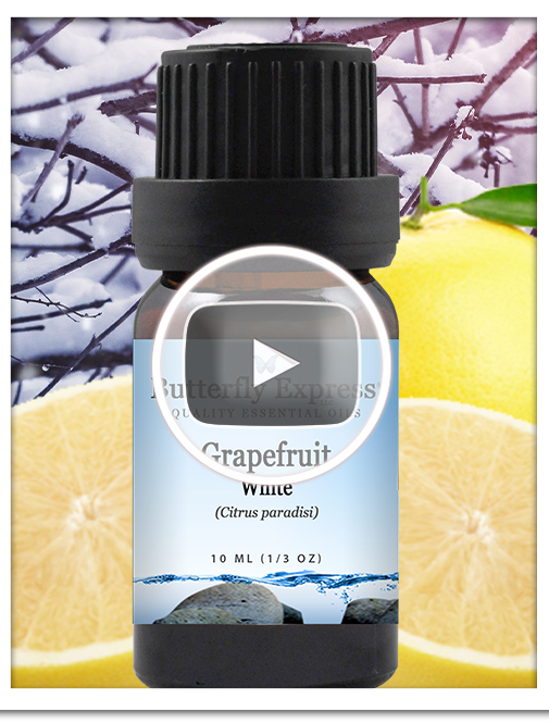 Grapefruit White Essential Oil Single