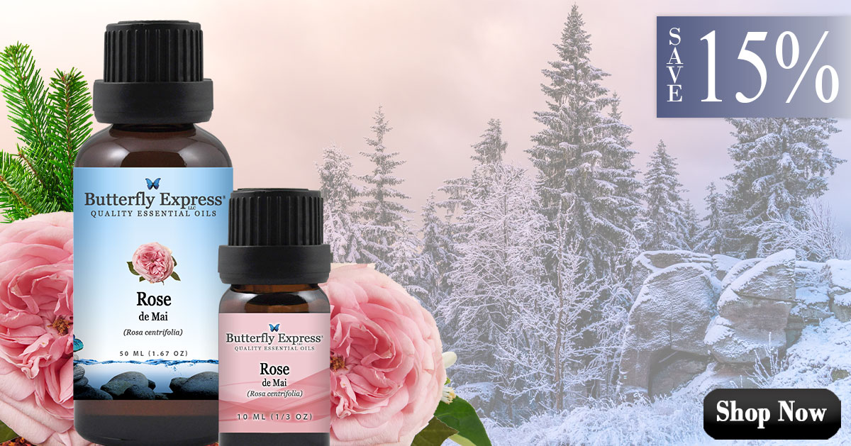 Rose de Mai Essential Oil Single