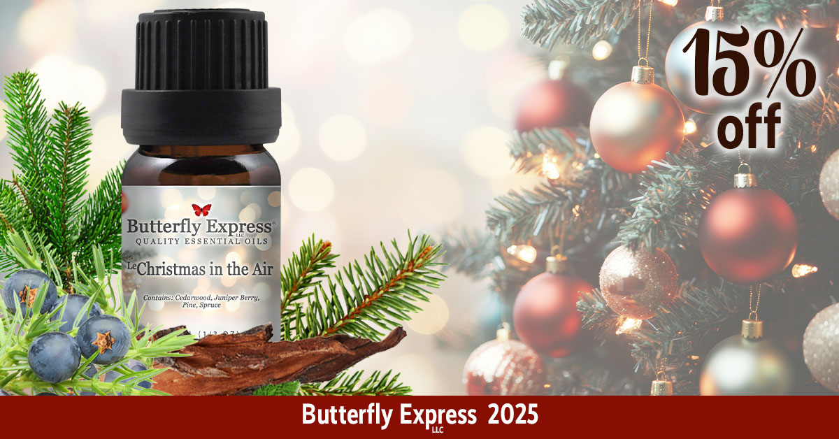 Christmas in the Air