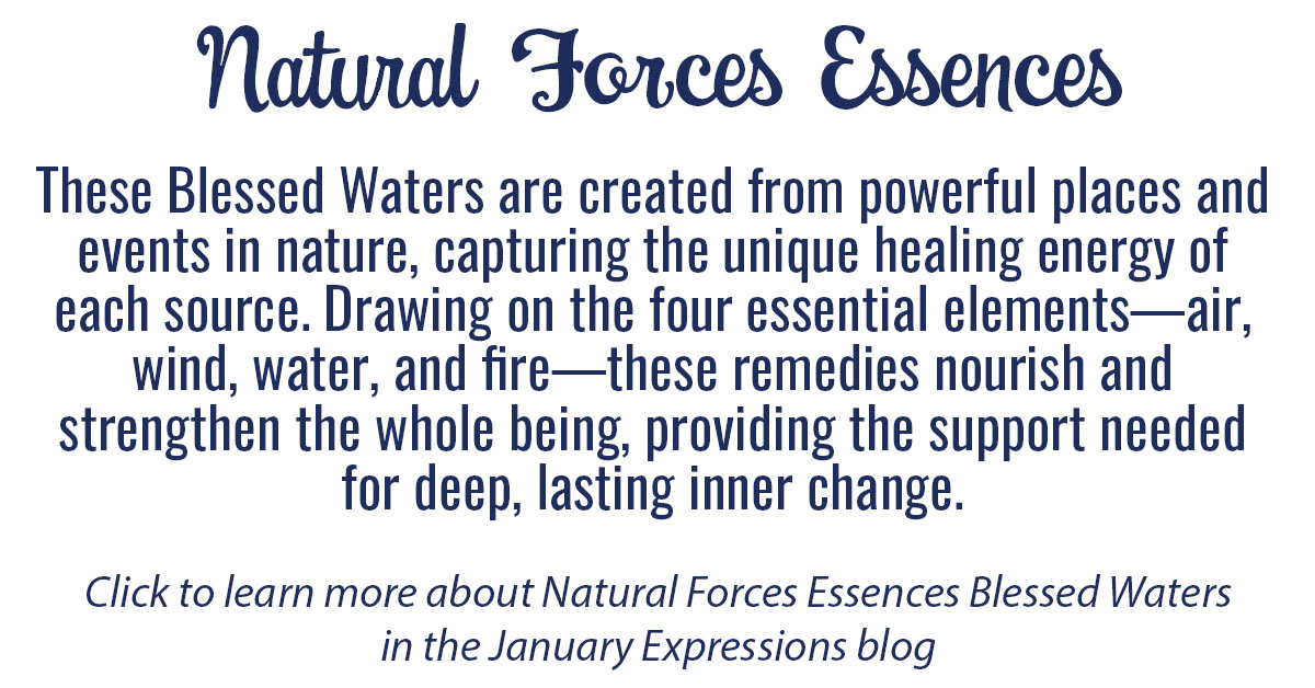 Featured Blessed Waters Info