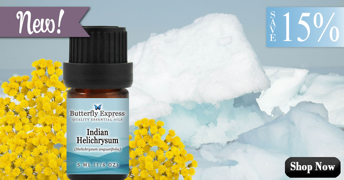 New Indian Helichrysum Essential Oil