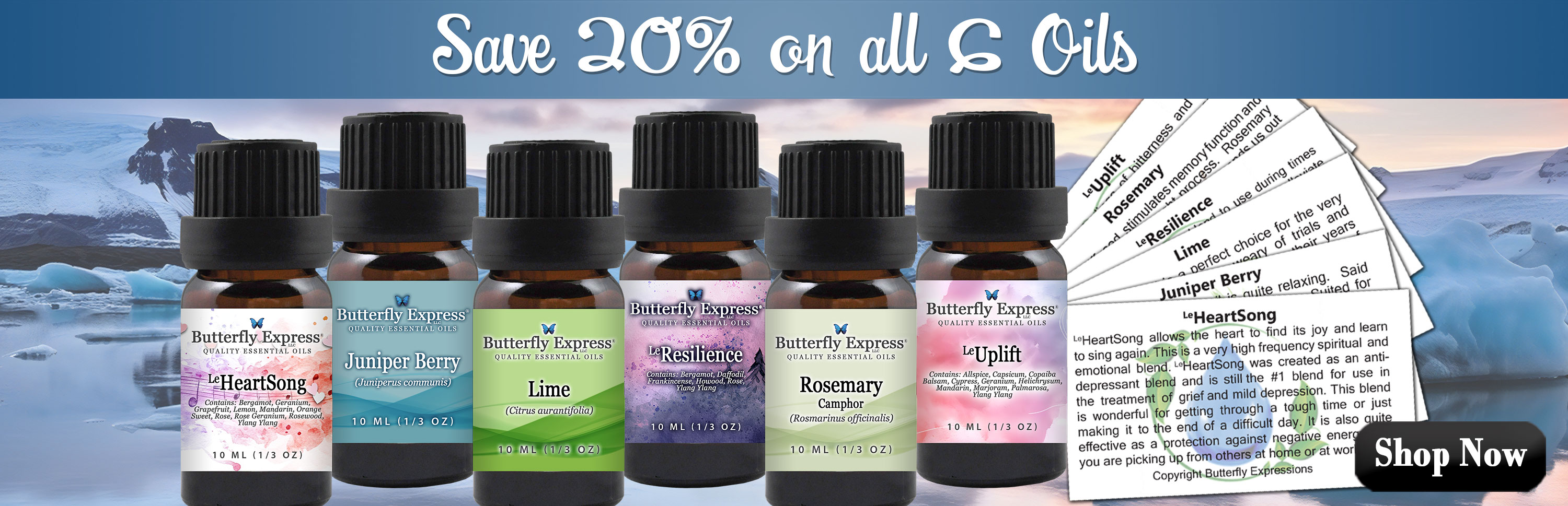 6 Oil Monthly Special