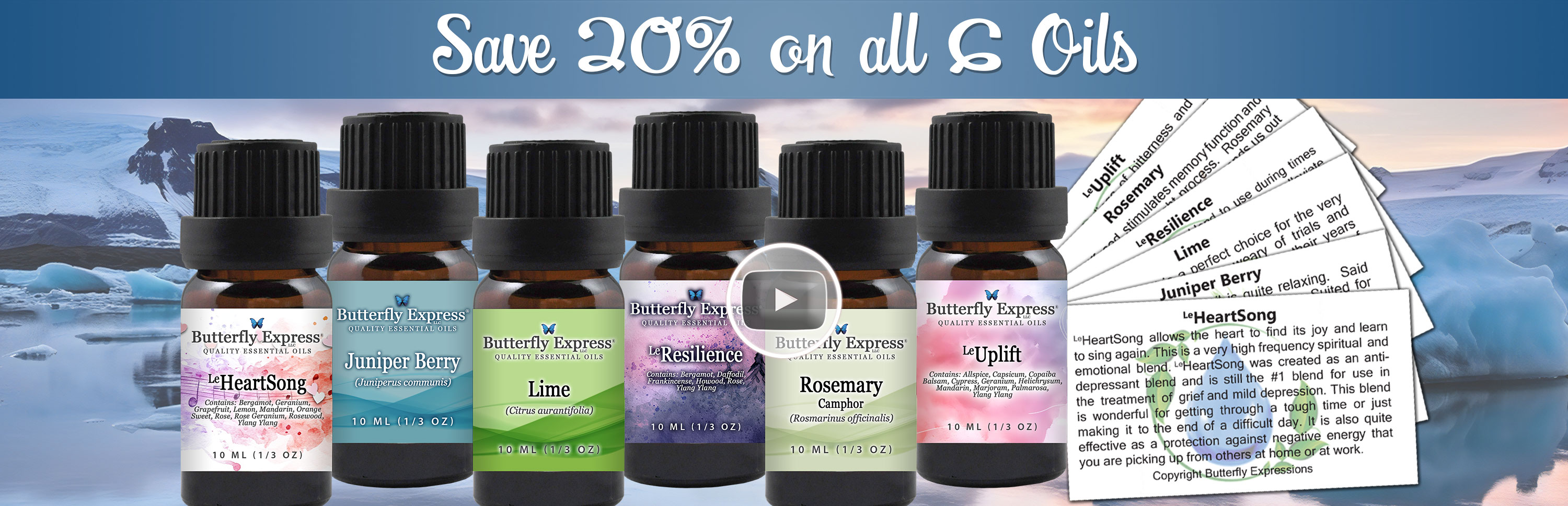 6 Oil Monthly Special