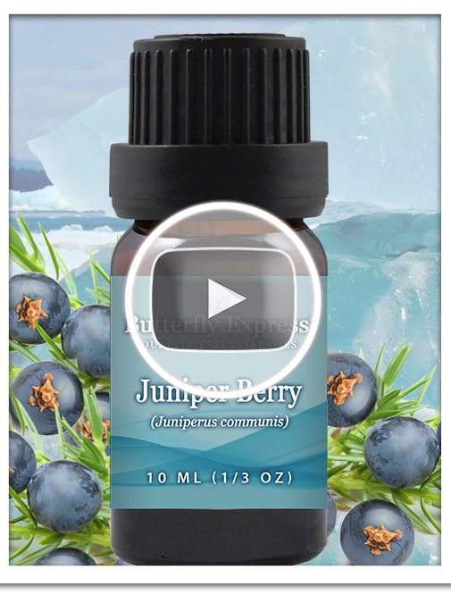 Juniper Berry Essential Oil Single