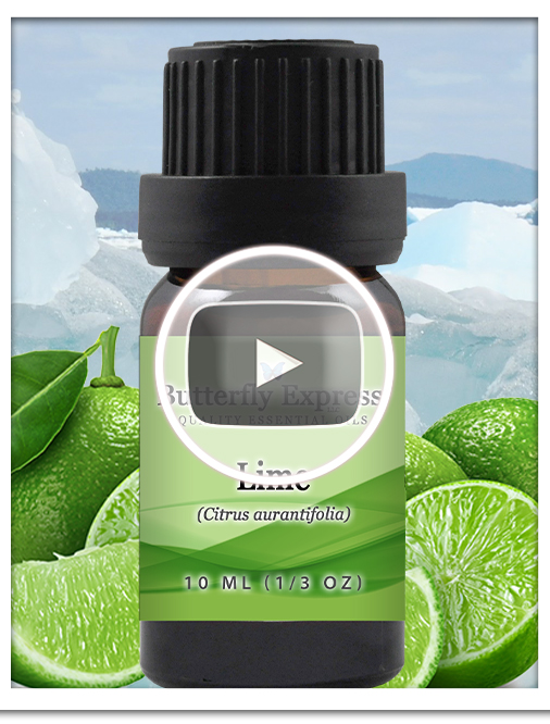 Lime Essential Oil Single