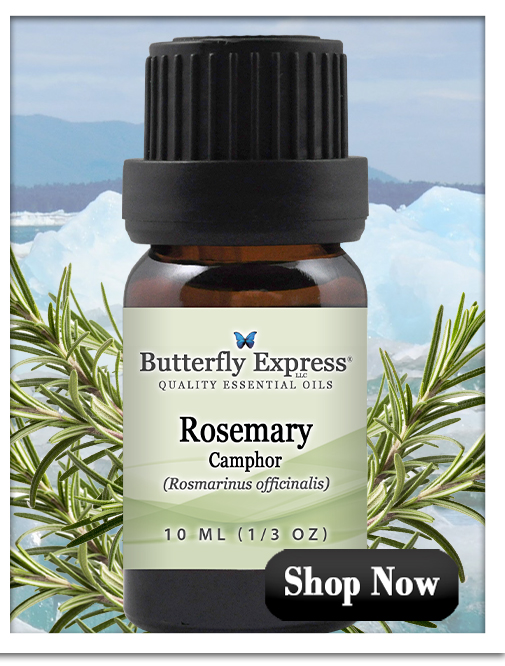 Rosemary Camphor Essential Oil Single
