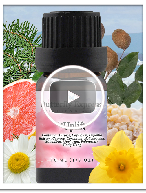 Uplift Essential Oil Single