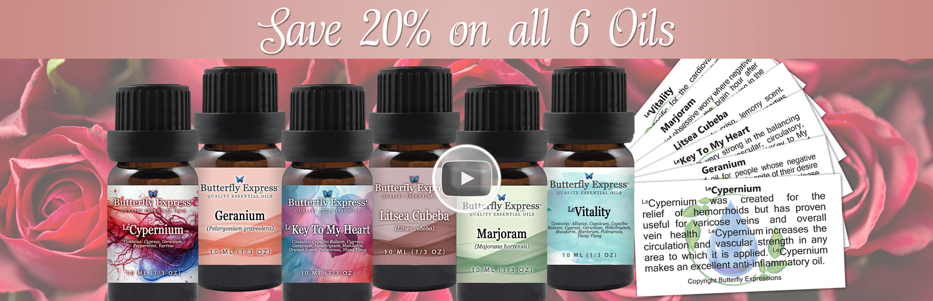 6 Oil Monthly Special