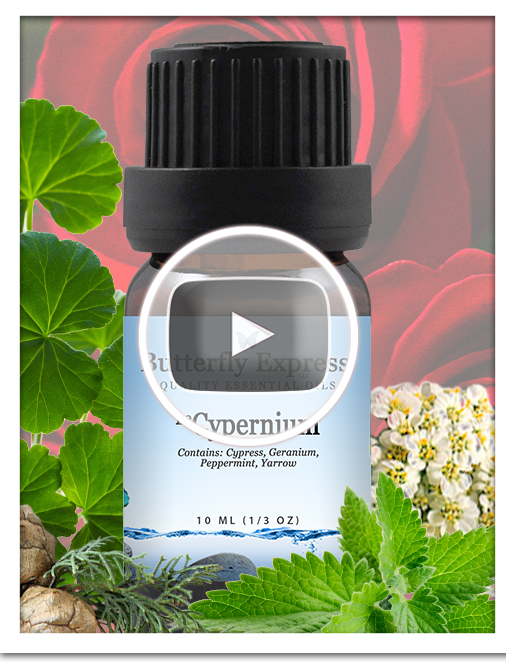 Cypernium Essential Oil Blend