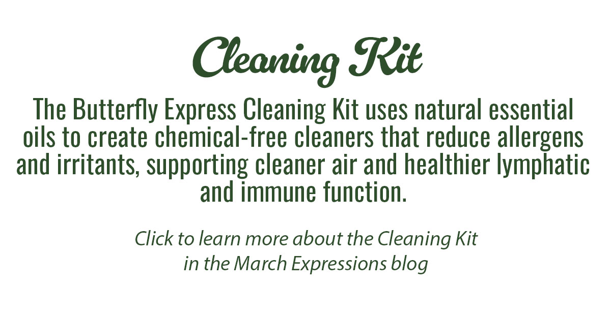 Cleaning Kit Info