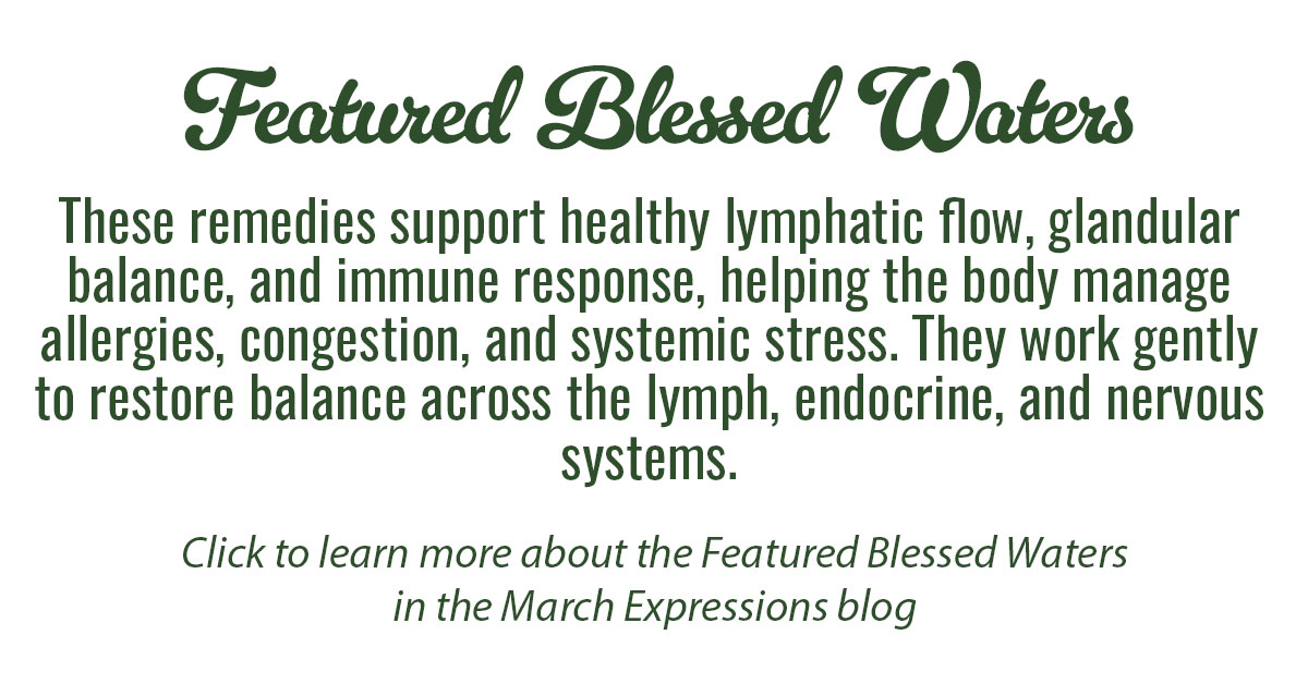 Featured Blessed Waters Info