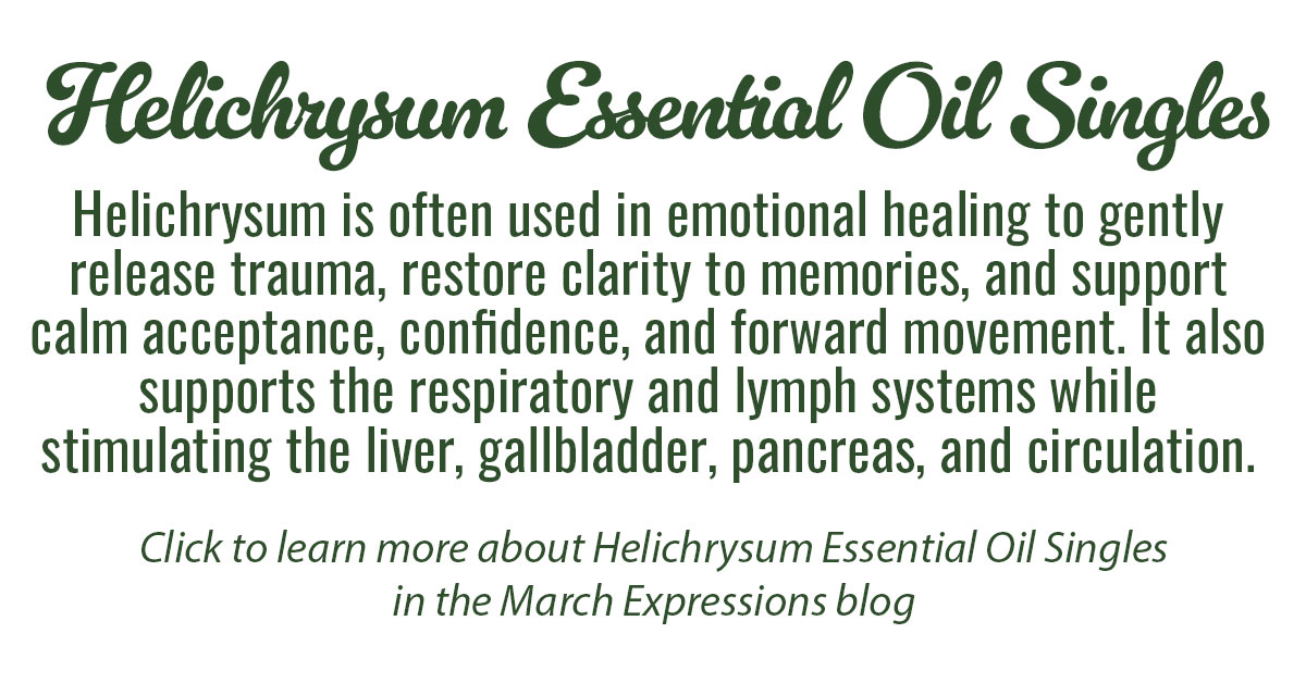 Helichrysum Essential Oil Single Info