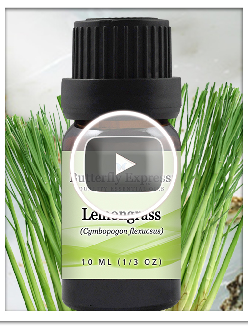 Lemongrass Essential Oil Single