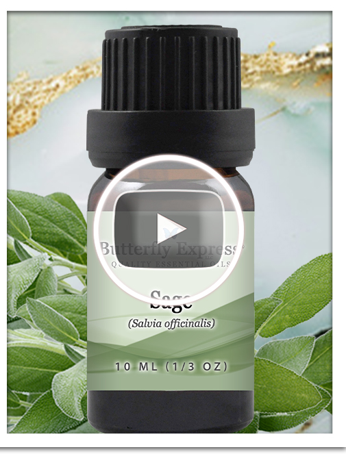 Sage Essential Oil Single