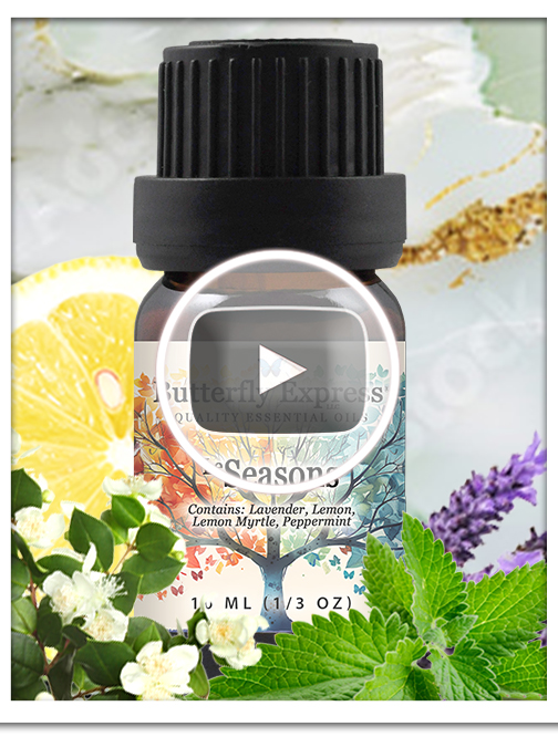 Seasons Essential Oil Single