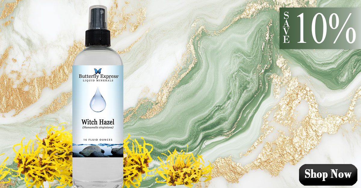 Witch Hazel