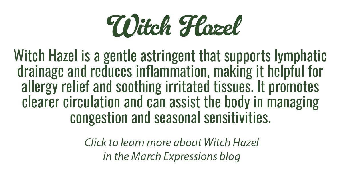 Witch Hazel Info