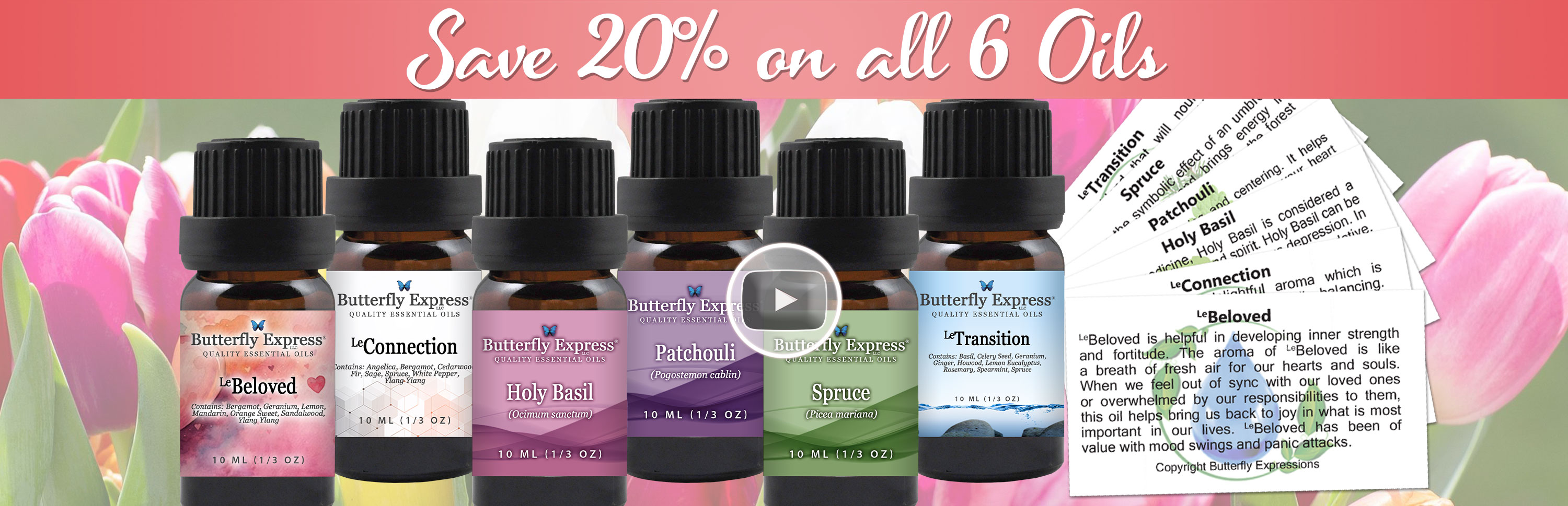 6 Oil Monthly Special