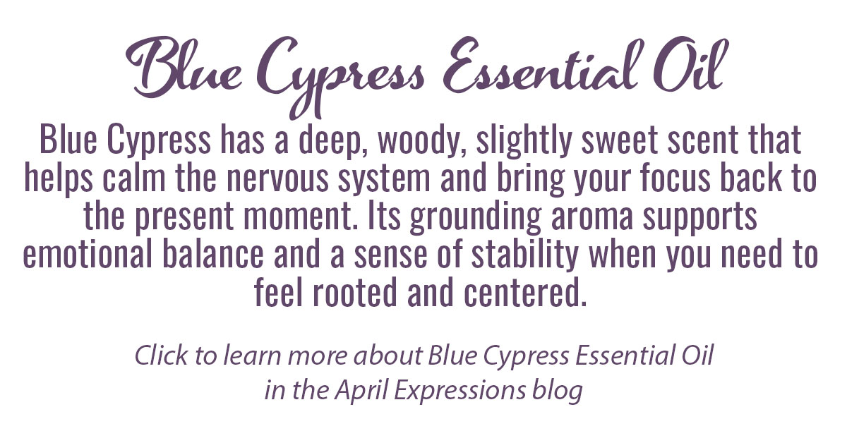 Blue Cypress Essential Oil Single Info