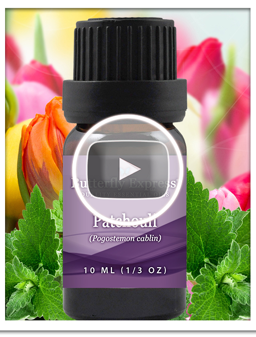 Patchouli Essential Oil Single