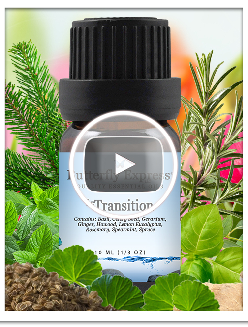 Transition Essential Oil Single