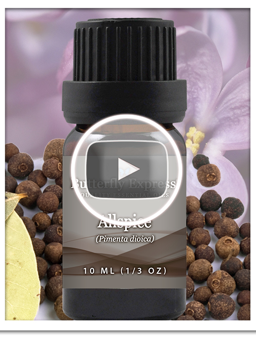 Allspice Essential Oil Single