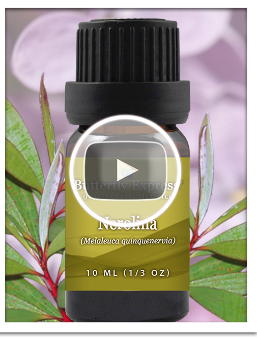 Nerolina Essential Oil Single