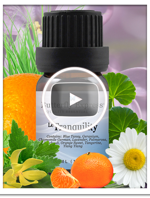 Tranquility Essential Oil Single
