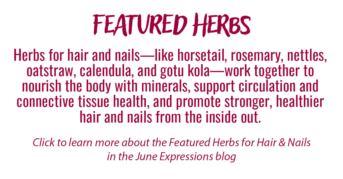 Featured Herbs Info