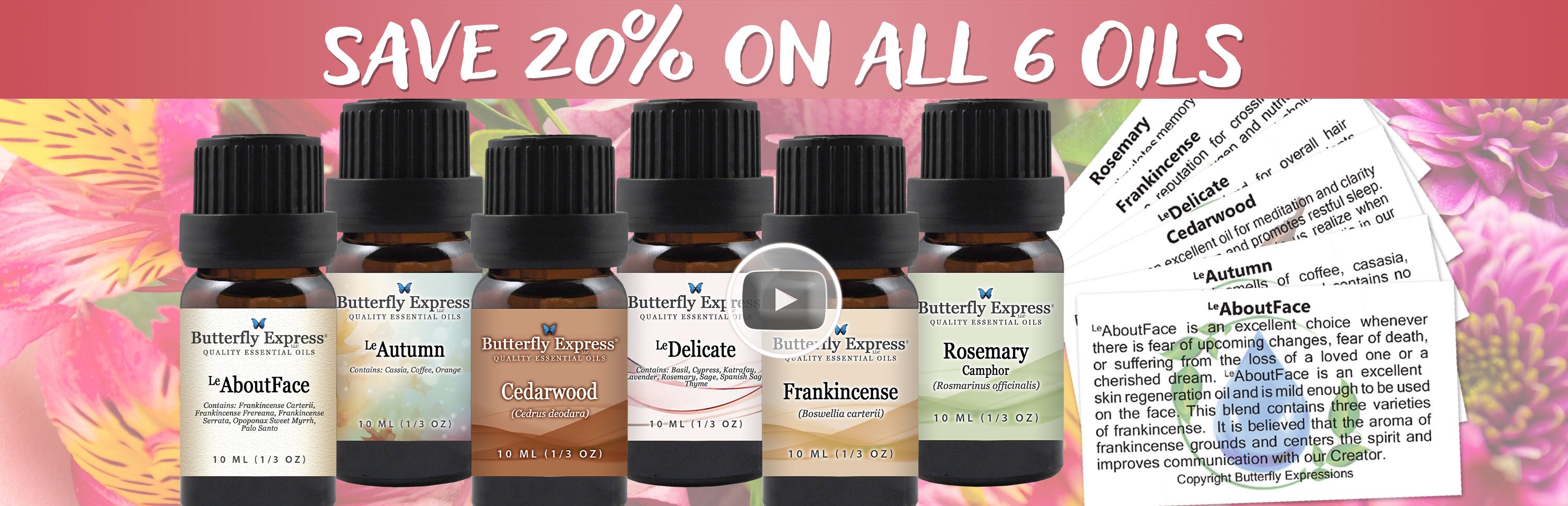 6 Oil Monthly Special