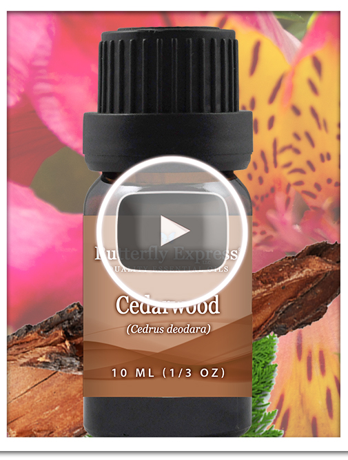 Cedarwood Essential Oil Single