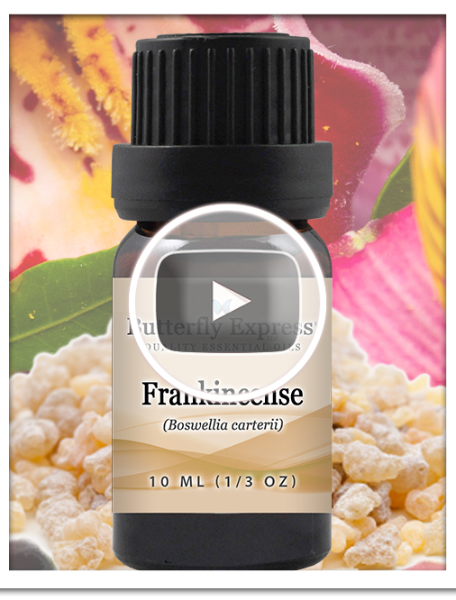 Frankincense Essential Oil Single