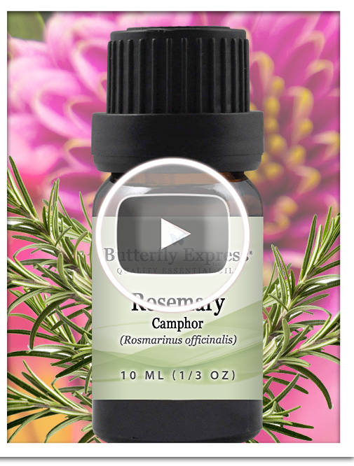 Rosemary Essential Oil Single