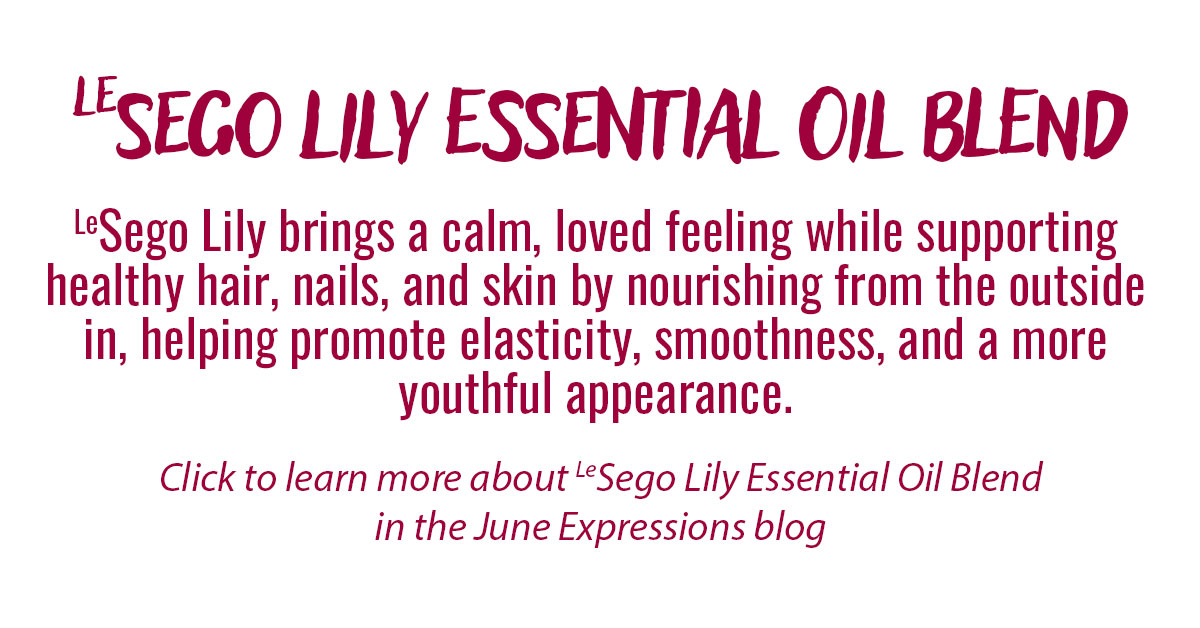 SegoLily Essential Oil Blend Info